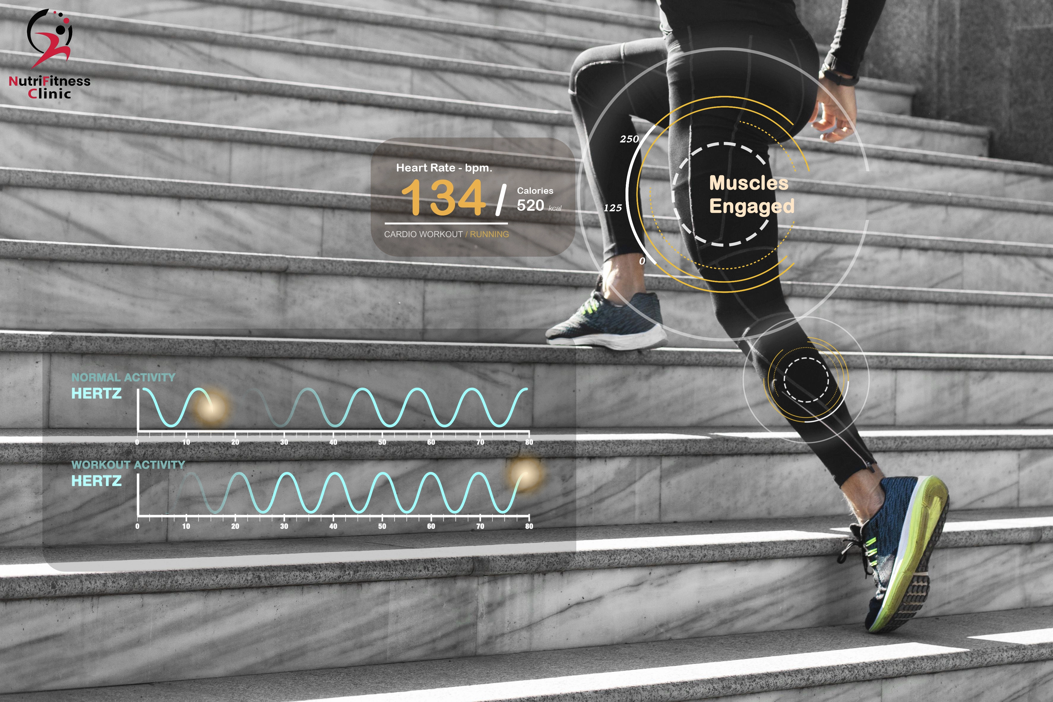 أهمية تحليل InBody قبل التخلص من السمنة