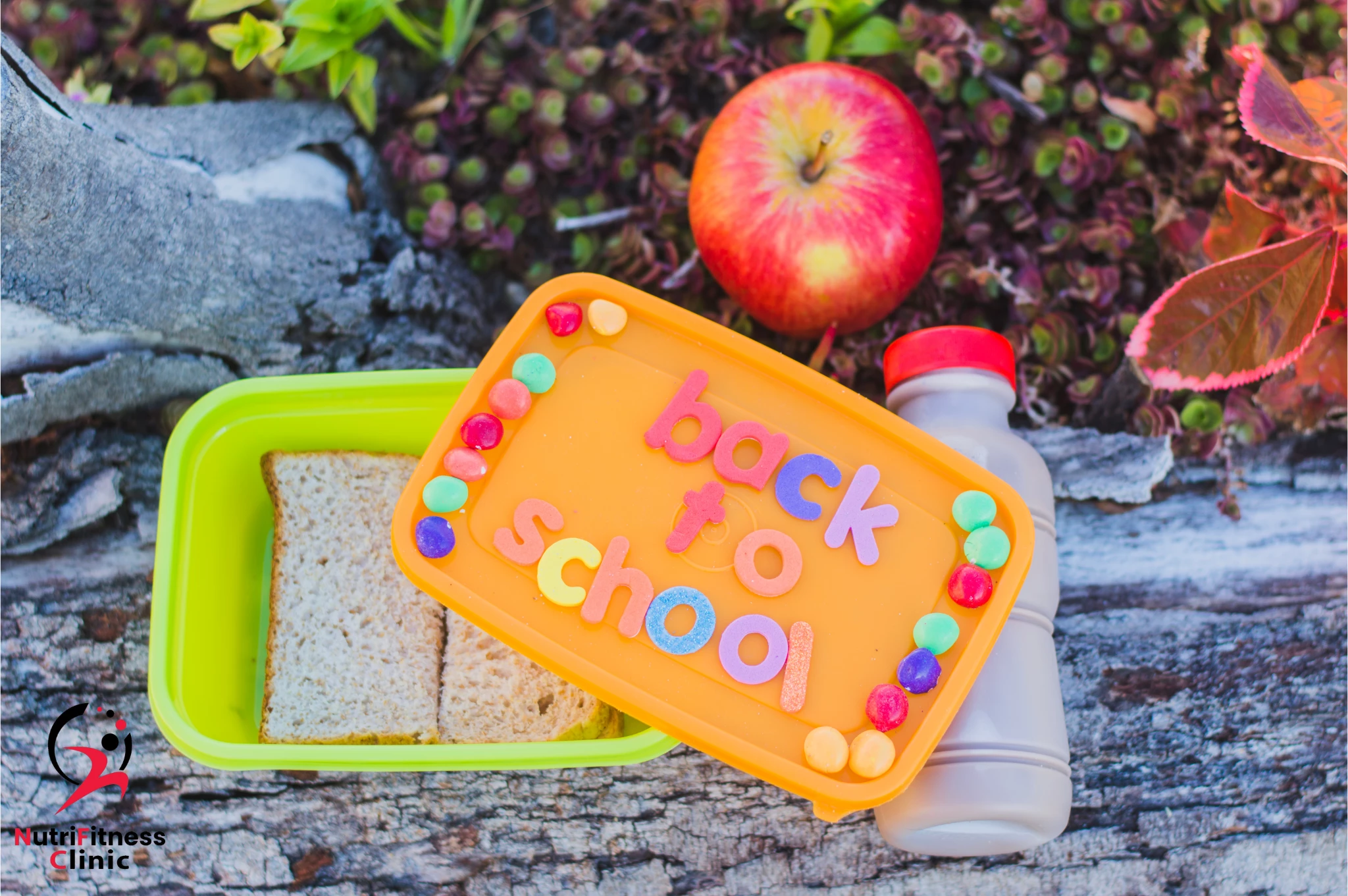 اللانش بوكس للأطفال